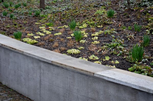 Concrete Wall Construction in Jefferson City